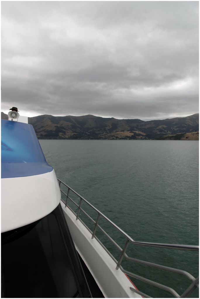 02 - Akaroa (06).jpg